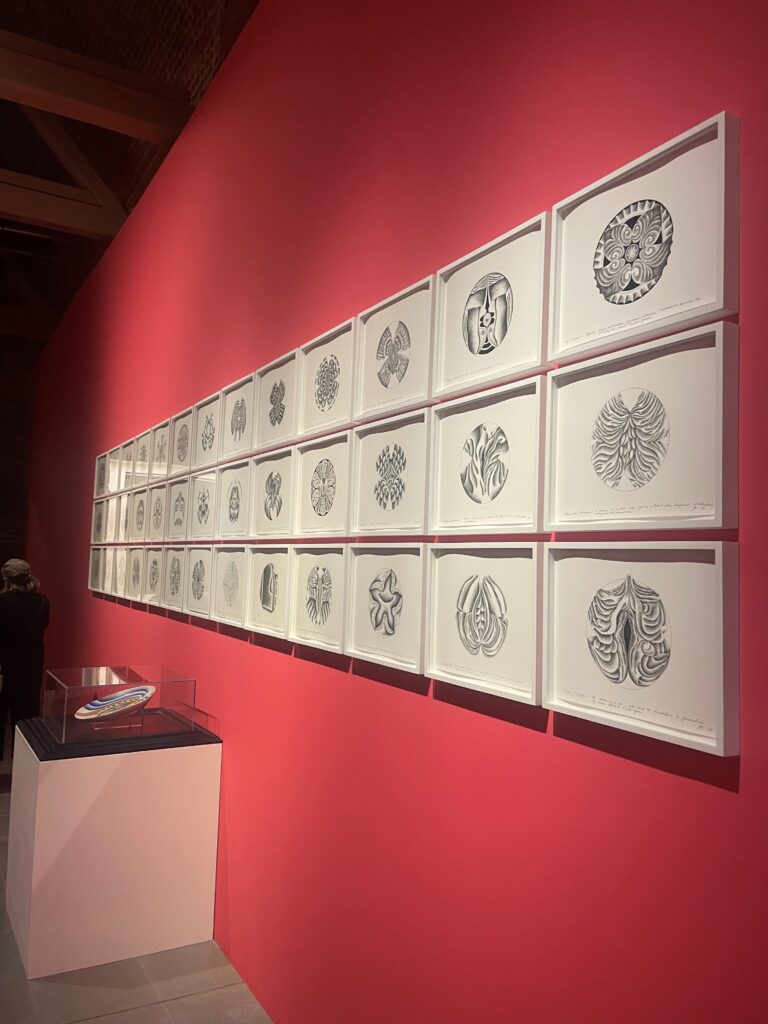 Photograph of a series of pencil drawings on a red wall, by Judy Chicago