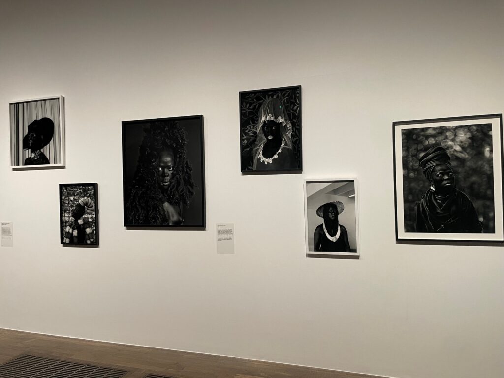 Series of black and white portraits on a white wall