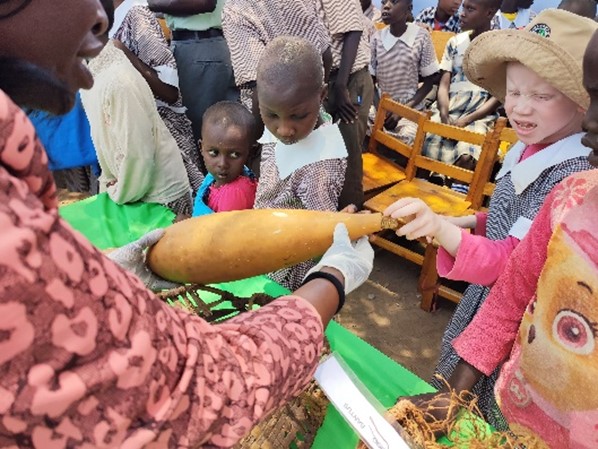 Children looking at objects on a table