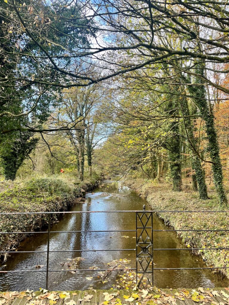 Photograph of a river taken on a bridge